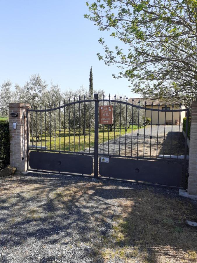 Villa Agriturismo Le Chiare Stelle Grosseto Exterior foto