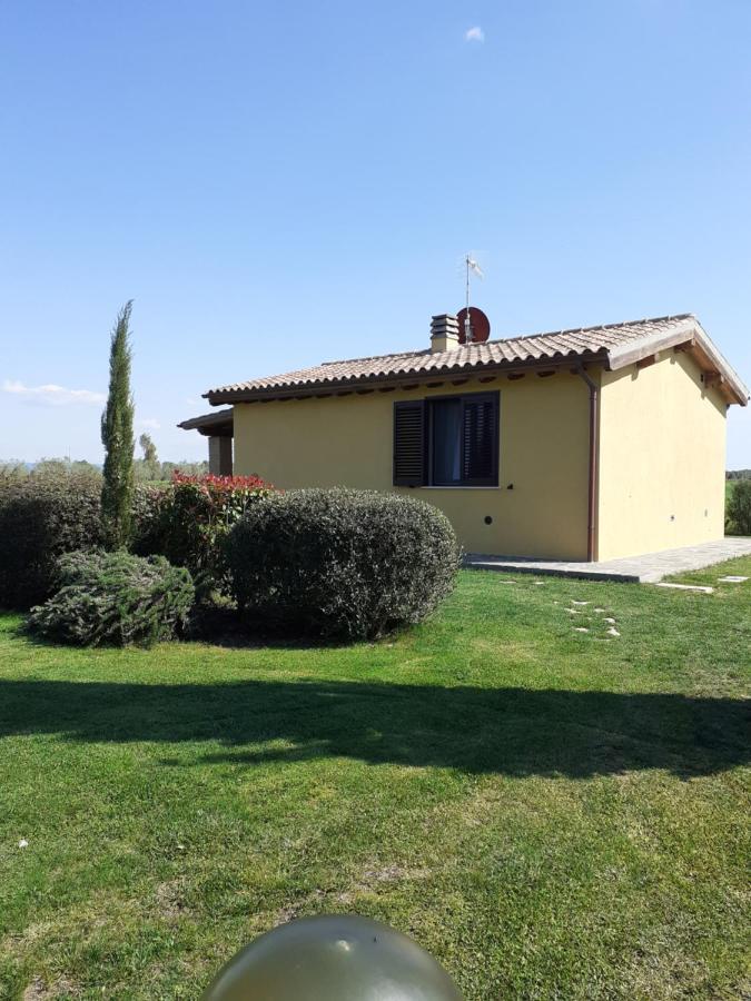 Villa Agriturismo Le Chiare Stelle Grosseto Exterior foto