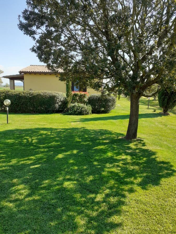 Villa Agriturismo Le Chiare Stelle Grosseto Exterior foto