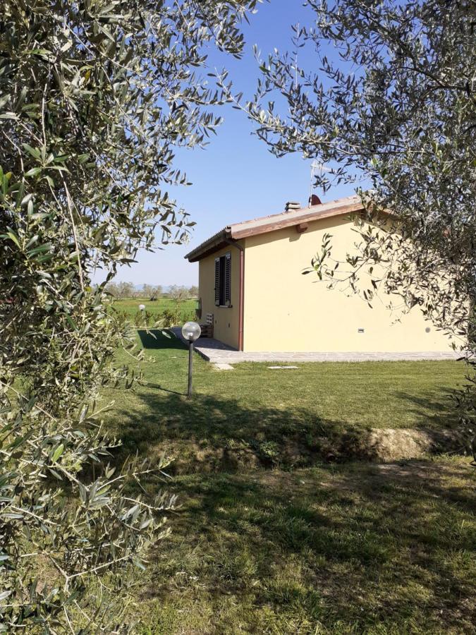 Villa Agriturismo Le Chiare Stelle Grosseto Exterior foto