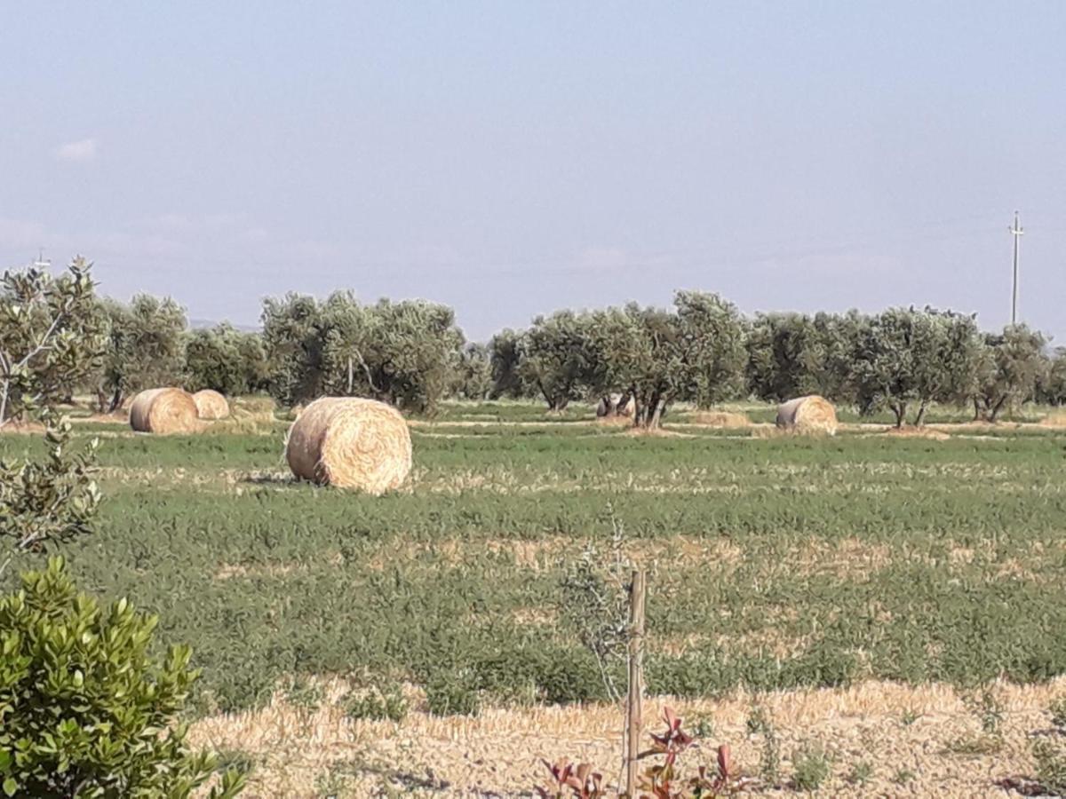 Villa Agriturismo Le Chiare Stelle Grosseto Exterior foto