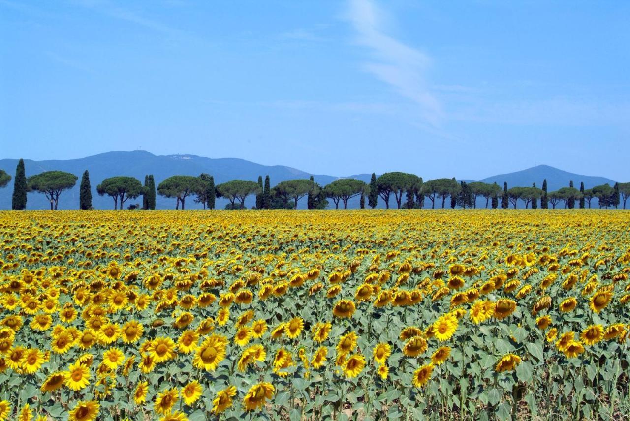 Villa Agriturismo Le Chiare Stelle Grosseto Exterior foto