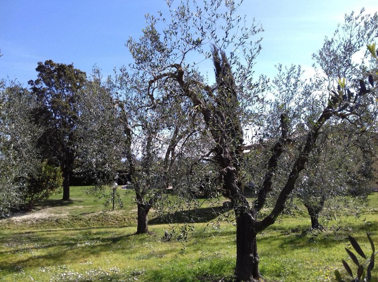 Villa Agriturismo Le Chiare Stelle Grosseto Exterior foto