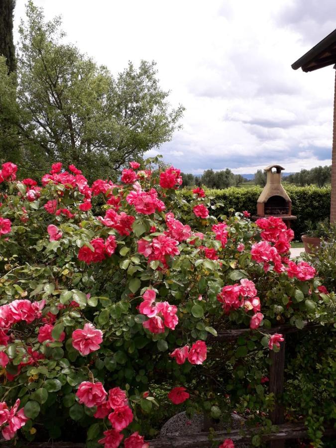 Villa Agriturismo Le Chiare Stelle Grosseto Exterior foto